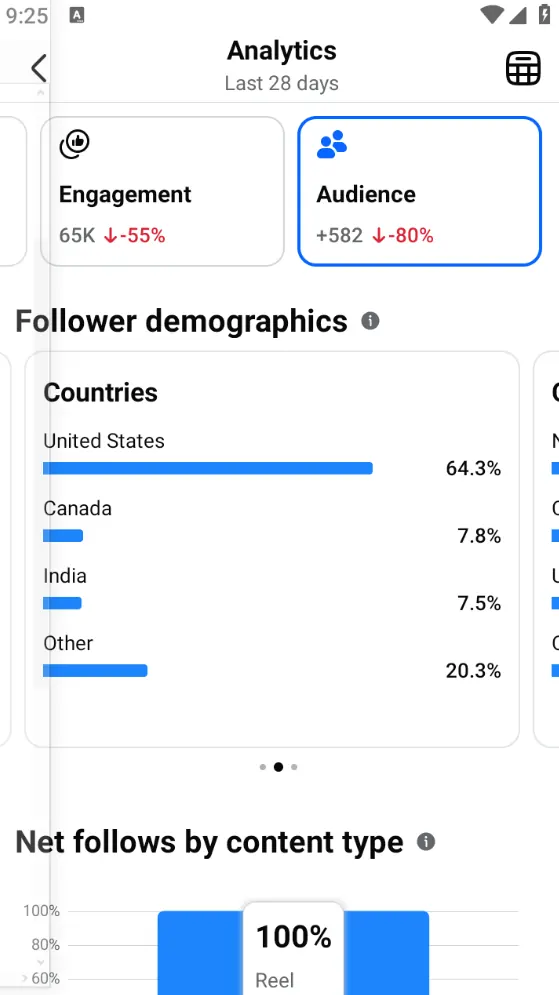 Audience Countries Distribution