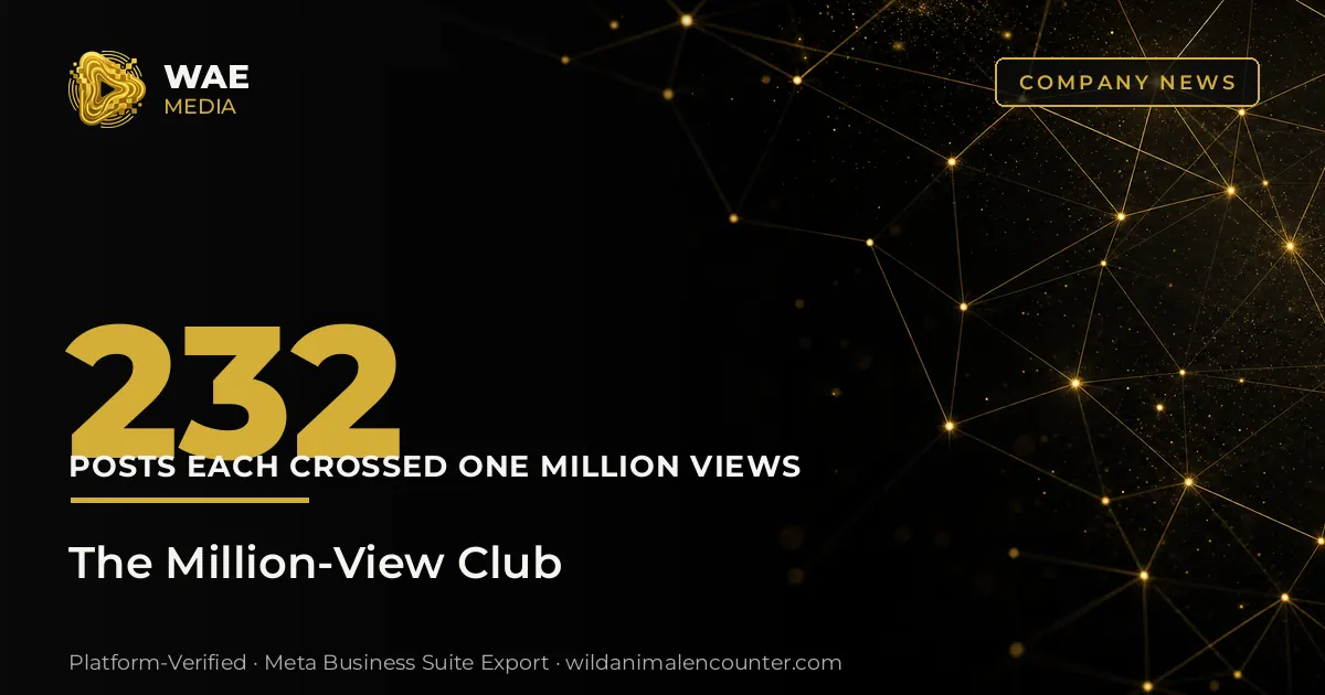 Cover image: The Million-View Club: 232 Posts That Each Crossed One Million